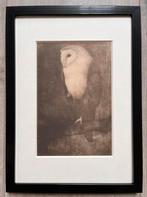 Jan Mankes 1889-1920 / Heliogravure Uil op Boomtak 1923, Ophalen of Verzenden