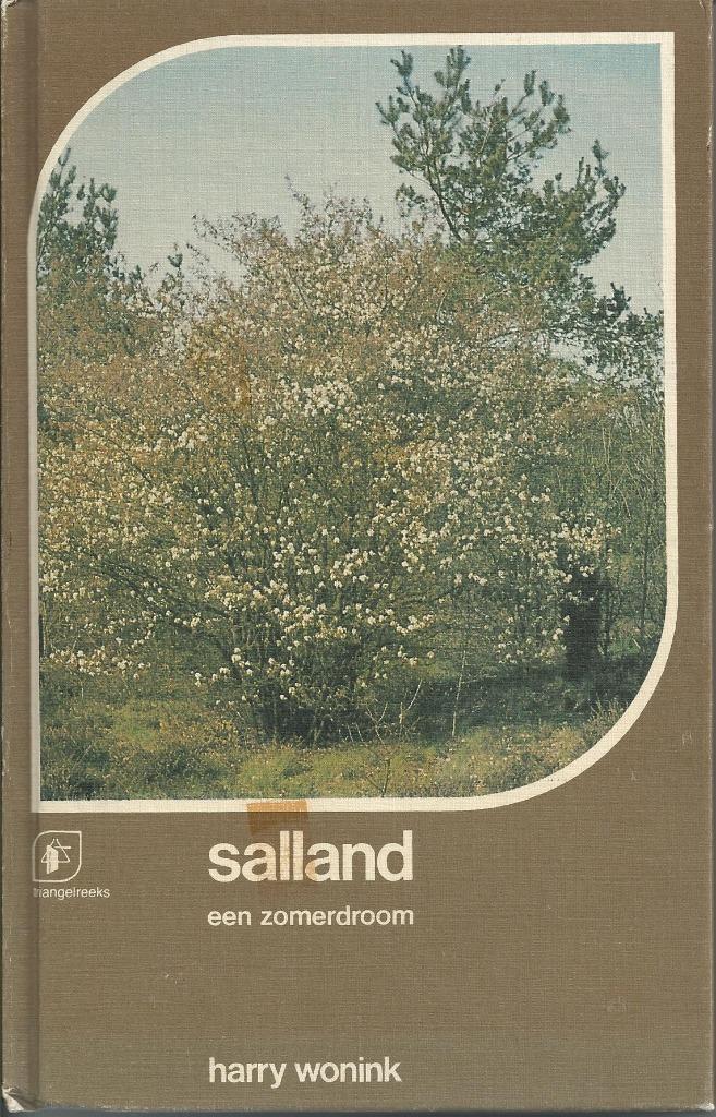 Salland een zomerdroom, Boeken, Geschiedenis | Stad en Regio, Gelezen, Ophalen of Verzenden