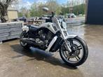 Harley-Davidson VRSCF V-Rod Muscle (bj 2017), Motoren, Motoren | Harley-Davidson, Bedrijf, Overig