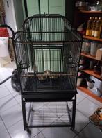 Te koop: mooie grote vogelkooi. Model Montana San Diego, Dieren en Toebehoren, Ophalen, Zo goed als nieuw, Metaal, Vogelkooi