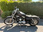 Motor | Motorfiets Harley Davidson Xl 1200 c custom sport, Chopper, Bedrijf, 1200 cc