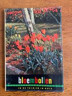 "Bloembollen in de tuin en in huis" G. Kromdijk, Boeken, Wonen en Tuinieren, Ophalen of Verzenden, Zo goed als nieuw, Tuinieren en Tuinplanten