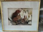 Twee eekhoorns - herfst, Antiek en Kunst, Kunst | Schilderijen | Klassiek, Ophalen