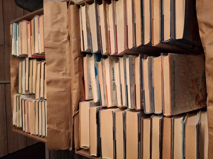 Streek romans, Boeken, Partijen en Verzamelingen, Zo goed als nieuw, Ophalen of Verzenden