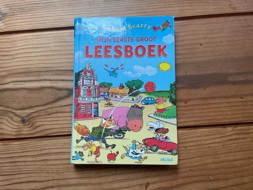 Mijn eerste groot leesboek, Boeken, Kinderboeken | Jeugd | onder 10 jaar, Zo goed als nieuw, Non-fictie, Ophalen of Verzenden