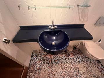 Blauwe Technova Wastafel met Kraan & Spiegel