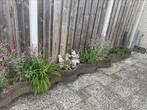 Flower pots / bloempotten, Tuin en Terras, Grind, Keien en Split, Ophalen of Verzenden, Zo goed als nieuw, Overige materialen