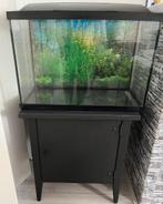Aquaruim 70L met onderkast met extra accessoires, Dieren en Toebehoren, Vissen | Aquaria en Toebehoren, Ophalen, ., Zo goed als nieuw