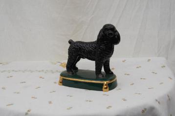 Poedel staan op een kussen beschikbaar voor biedingen