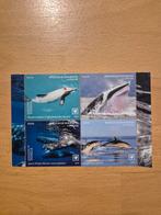 Tonga 2020 walvissen en dolfijnen, Postzegels en Munten, Ophalen of Verzenden, Postfris, Dier of Natuur