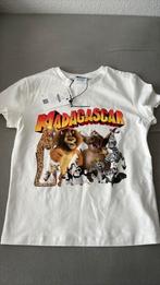 Shirt van madagascar, Wit, Maat 42/44 (L), Nieuw, Ophalen of Verzenden