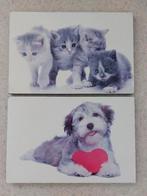 Dieren hout.35bij60cm ongeveer.Zie ook andere advertenties, Antiek en Kunst, Kunst | Schilderijen | Klassiek, Ophalen of Verzenden