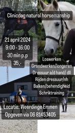 Clinicdag natural horsemanship, Dieren en Toebehoren, Ophalen