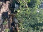 Oude peren bomen 45/50 jaar oud, Halfschaduw, Overige soorten, Lente, 250 tot 400 cm