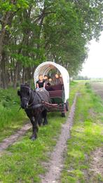 Leuke huifkar, huifwagentje, recreatiewagen, Gebruikt, Overige typen, Paard of Pony