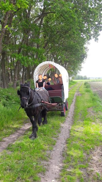 Leuke huifkar, huifwagentje, recreatiewagen beschikbaar voor biedingen