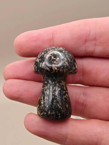 Snowflake Obsidiaan paddenstoel – zwart met groene vlekken beschikbaar voor biedingen