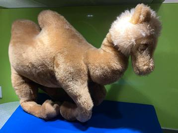 Grote Knuffel Kameel beschikbaar voor biedingen