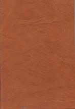 A. de Kleuver: Geestelijk Israël... Wat nu?, Ophalen of Verzenden, A. de Kleuver, Christendom | Protestants