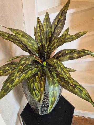 Verschillende kunstplanten om uit te kiezen 10 euro per stuk beschikbaar voor biedingen