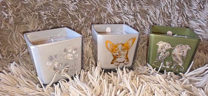 Leuke snoeppotten, kaarsjes , bloempotten en drink emmer, Dieren en Toebehoren, Honden-accessoires, Zo goed als nieuw, Ophalen