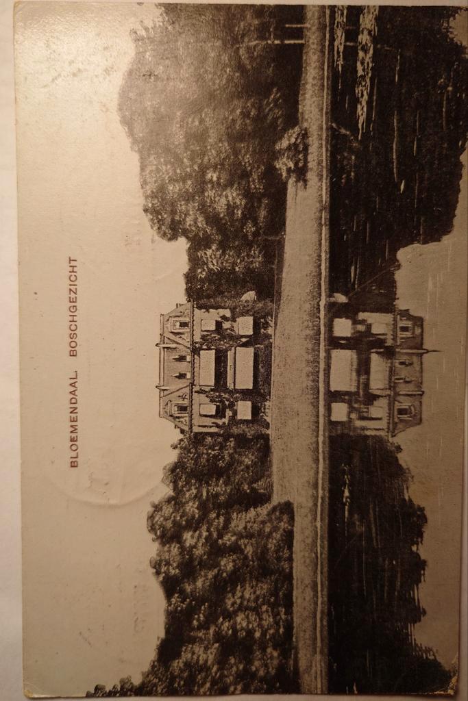 Oude kaart Bloemendaal Boschgezicht 1910, Verzamelen, Ansichtkaarten | Nederland, Gelopen, Noord-Holland, Voor 1920, Ophalen of Verzenden