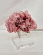 Roze Haliet, Verzenden