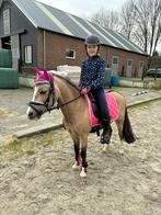 Verzorg pony/shet gezocht, Dieren en Toebehoren, Paarden en Pony's | Verzorgingsproducten, Ophalen of Verzenden