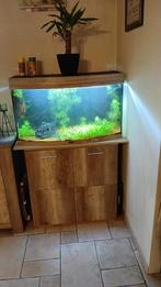 Juwel Vision 180 met co2 en 2 filterpompen, Ophalen, Gebruikt, Leeg aquarium