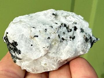 Natuurlijke Regenboog maansteen uit Sri Lanka ruw mineralen beschikbaar voor biedingen