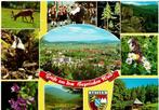 Ansichtkaart "Grüsse aus dem Bayerischen Wald" Duitsland, Ophalen of Verzenden, 1980 tot heden, Gelopen, Duitsland
