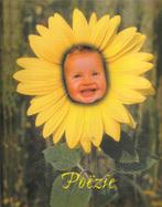 Poëzie album met 47 albumplaatjes, Ophalen of Verzenden, Zo goed als nieuw