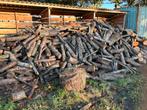Mooi Elzenhout 1 jaar oud, 6 m³ of meer, Ophalen, Elzenhout
