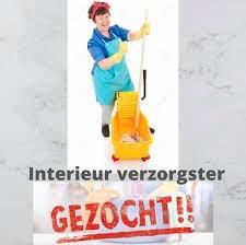 Gezocht, vriendelijke en betrouwbare interieurverzorgster!, Diensten en Vakmensen, Schoonmakers en Glazenwassers, Schoonmaken woning