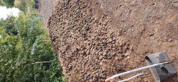 GRATIS paardenmest mest bemesting beschikbaar voor biedingen