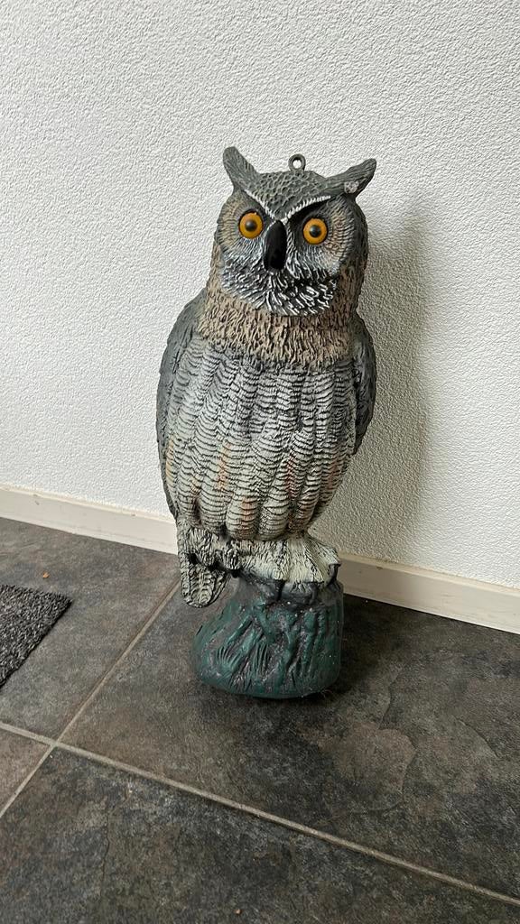 Kunststof uil, Ophalen of Verzenden, Gebruikt, Dier