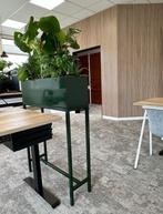 Akoestische akupanel wandpanelen 280-300 cm natuurlijk eiken, Ophalen of Verzenden, Nieuw