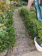 Gebakken Klinkers - Zelf Uithalen!, Tuin en Terras, Ophalen, Overige materialen, Gebruikt, Klinkers