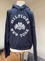 TOMMY HILFIGER sweater blauw netjes maat 164 DN, Gebruikt, Meisje, Trui of Vest, Ophalen of Verzenden