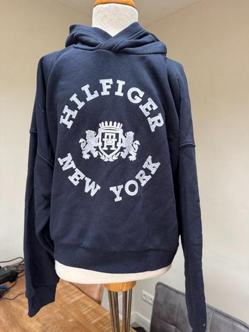 TOMMY HILFIGER sweater blauw netjes maat 164 DN beschikbaar voor biedingen