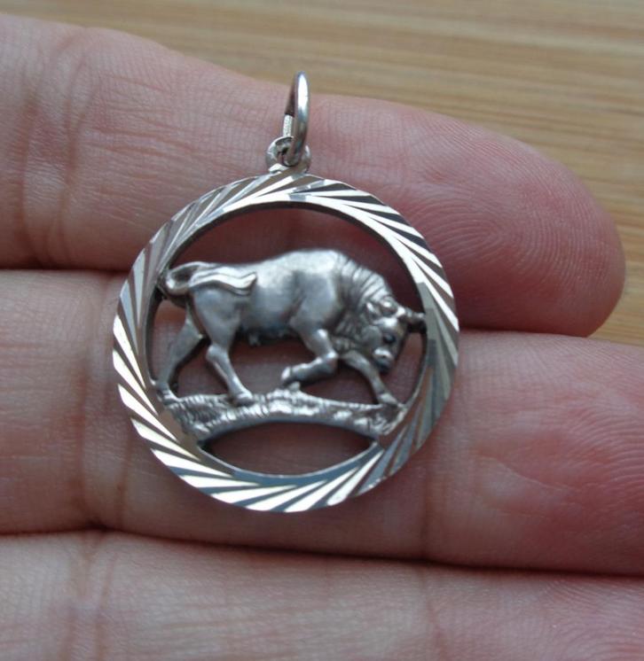 zilveren hanger sterrenbeeld stier [216], Sieraden, Tassen en Uiterlijk, Kettinghangers, Zo goed als nieuw, Zilver, Zilver, Kruis of Symbool