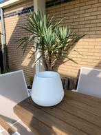 Bloempot bloembak wit Elho Cone nieuw, Tuin en Terras, Bloembakken en Plantenbakken, Kunststof, Minder dan 30 cm, Minder dan 60 cm