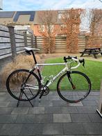 Wilier Triestina Racefiets - Frame 57cm, 28 inch, Gebruikt, Heren, Aluminium