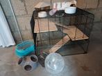 Hamsterkooi glas, Dieren en Toebehoren, Ophalen, Nieuw