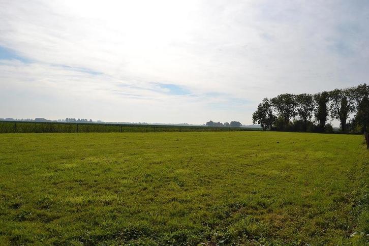 Gezocht perceel te huur / te koop, Dieren en Toebehoren, Stalling en Weidegang