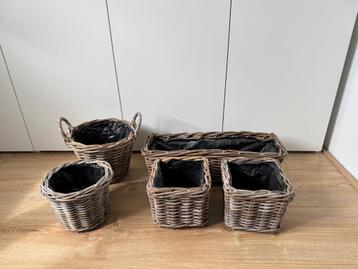Rieten plantenmanden - 5 stuks beschikbaar voor biedingen