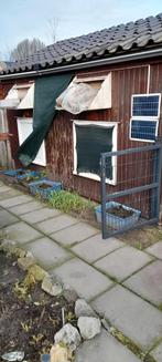 Dumo duivenhok 6 mt geïsoleerd, Ophalen, Gebruikt, Hout, Vogelkooi