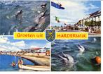 Harderwijk  Groeten uit, Ophalen of Verzenden, Gelopen, Gelderland