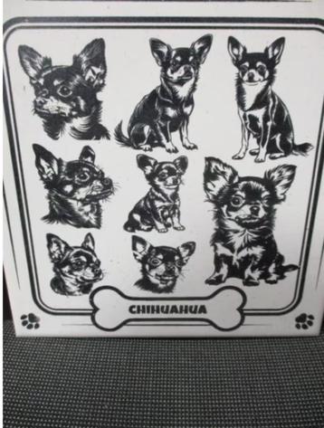 CHIHUAHUA TEGELTJE 15X15CM GROOT NIEUW beschikbaar voor biedingen