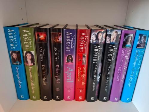 Boeken virginia andrews, Boeken, Streekboeken en Streekromans, Zo goed als nieuw, Friesland, Ophalen of Verzenden